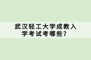 武漢輕工大學成教入學考試考哪些？