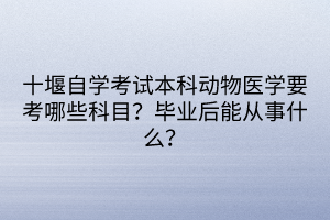 十堰自學(xué)考試本科動物醫(yī)學(xué)要考哪些科目？畢業(yè)后能從事什么？