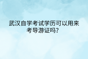 武漢自學考試學歷可以用來考導游證嗎？