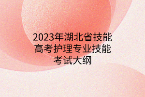 2023年湖北省技能高考護(hù)理專業(yè)技能考試大綱