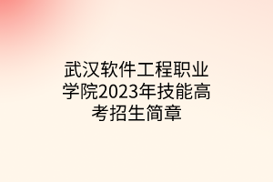 武漢軟件工程職業(yè)學(xué)院2023年技能高考招生簡章