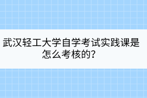 武漢輕工大學(xué)自學(xué)考試實(shí)踐課是怎么考核的？