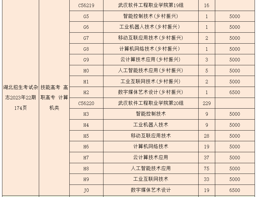 2023年武漢軟件工程職業(yè)學(xué)院湖北技能高考、藝術(shù)類、體育類志愿填報(bào)指南