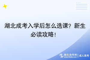 湖北成考入學后怎么選課？新生必讀攻略！