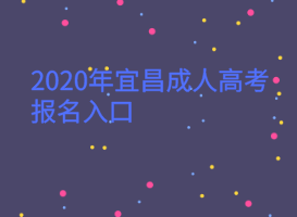 2020年宜昌成人高考報名入口