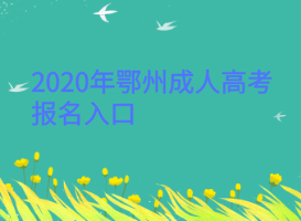 2020年鄂州成人高考報(bào)名入口