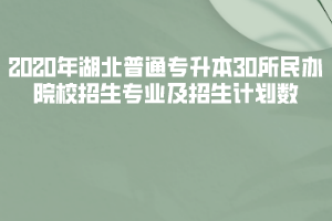 2020年湖北普通專升本30所民辦院校招生專業(yè)及招生計(jì)劃數(shù)