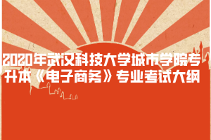 2020年武漢科技大學(xué)城市學(xué)院專升本《電子商務(wù)》專業(yè)考試大綱