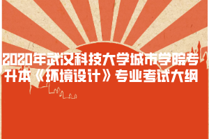 2020年武漢科技大學(xué)城市學(xué)院專升本《環(huán)境設(shè)計(jì)》專業(yè)考試大綱