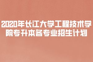 2020年長江大學工程技術學院普通專升本各專業(yè)招生計劃