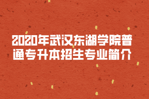 2020年武漢東湖學(xué)院普通專(zhuān)升本招生專(zhuān)業(yè)簡(jiǎn)介