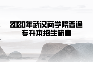 2020年武漢商學(xué)院普通專升本招生簡章