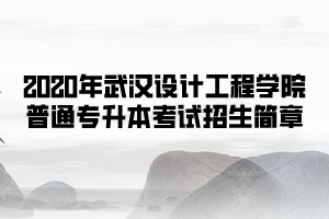 2020年武漢設(shè)計(jì)工程學(xué)院普通專升本考試招生簡(jiǎn)章