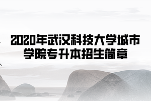 2020年武漢科技大學城市學院專升本招生簡章