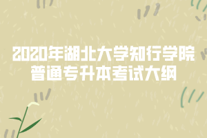 2020年湖北大學知行學院專升本機械電子工程專業(yè)考試大綱