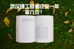 武漢理工自考論文一年審幾次？