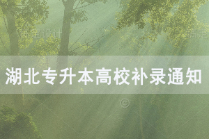 2020年武漢紡織大學外經(jīng)貿(mào)學院普通專升本補錄通知