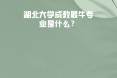 湖北大學(xué)成教最牛專業(yè)是什么？