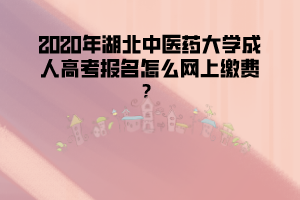 2020年湖北中醫(yī)藥大學(xué)成人高考報(bào)名怎么網(wǎng)上繳費(fèi)