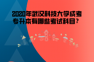 2020年武漢科技大學成考專升本有哪些考試科目