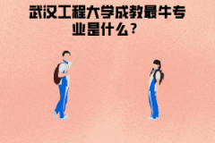 武漢工程大學成教最牛專業(yè)是什么？