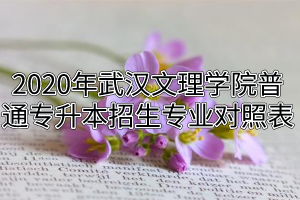 2020年武漢文理學(xué)院普通專升本招生專業(yè)對照表