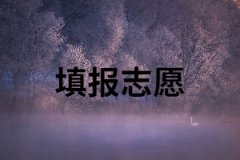 湖南成考怎樣填報(bào)志愿？報(bào)考信息填錯(cuò)怎么辦？