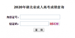 2020年中南財(cái)大成人高考成績查詢時(shí)間及入口