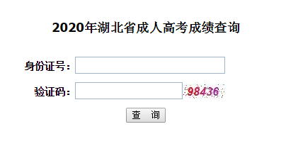 2020年中南財大成人高考成績查詢時間及入口