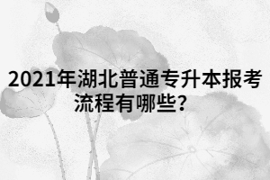 2021年湖北普通專升本報(bào)考流程有哪些？