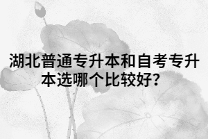 湖北普通專升本和自考專升本選哪個比較好？