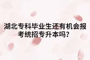 湖北?？飘厴I(yè)生還有機(jī)會(huì)報(bào)考統(tǒng)招專升本嗎？