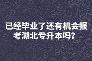 已經(jīng)畢業(yè)了還有機(jī)會報考湖北專升本嗎？