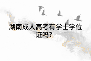 湖南成人高考有學士學位證嗎？