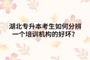 湖北普通專升本考生如何分辨一個培訓(xùn)機構(gòu)的好壞呢？