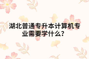 湖北普通專升本計(jì)算機(jī)專業(yè)需要學(xué)什么？