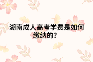 湖南成人高考學(xué)費(fèi)是如何繳納的？