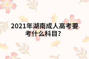 2021年湖南成人高考要考什么科目？