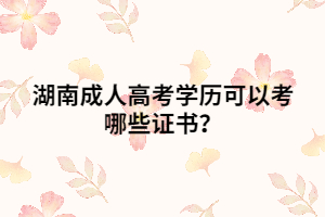 湖南成人高考學(xué)歷可以考哪些證書？