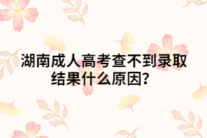 湖南成人高考查不到錄取結果什么原因？