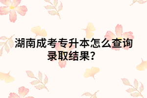 湖南成考專升本怎么查詢錄取結(jié)果？