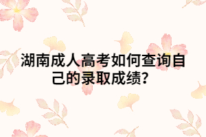 湖南成人高考如何查詢自己的錄取成績？