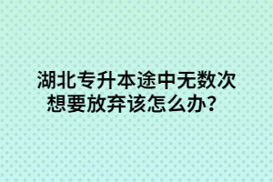 湖北專升本途中無數(shù)次想要放棄該怎么辦？