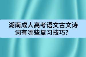 湖南成人高考語文古文詩詞有哪些復(fù)習(xí)技巧？