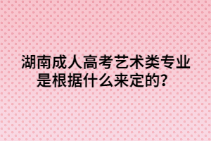 湖南成人高考藝術(shù)類專業(yè)是根據(jù)什么來定的？