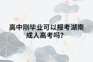 高中剛畢業(yè)可以報考湖南成人高考嗎？