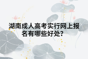 湖南成人高考實(shí)行網(wǎng)上報名有哪些好處？