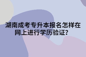 湖南成考專(zhuān)升本報(bào)名怎樣在網(wǎng)上進(jìn)行學(xué)歷驗(yàn)證？