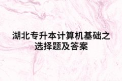 湖北專升本計(jì)算機(jī)基礎(chǔ)之選擇題及答案（一)