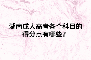 湖南成人高考各個科目的得分點有哪些？